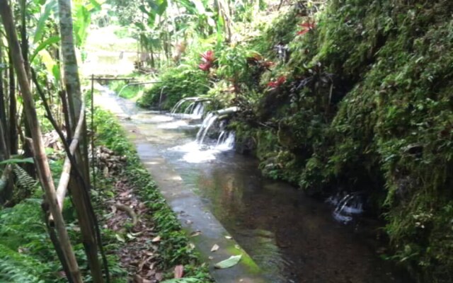 Soka Jatiluwih Villas