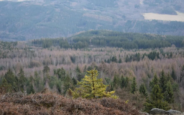 Guest House Pod Rozhlednou