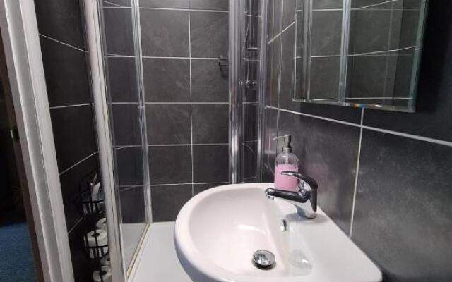 Lincolns at the Whitehouse