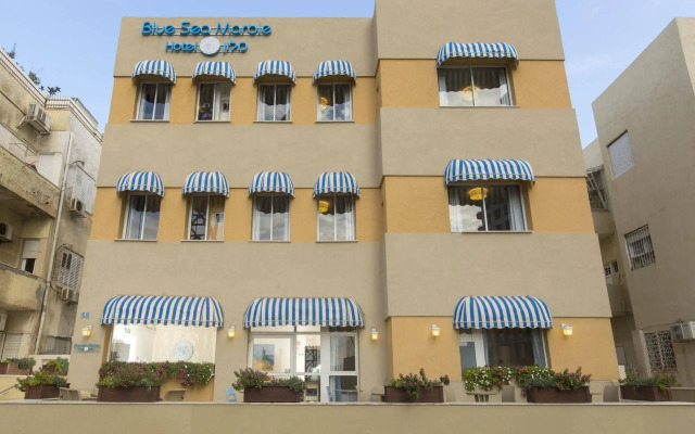 Blue Sea Marble