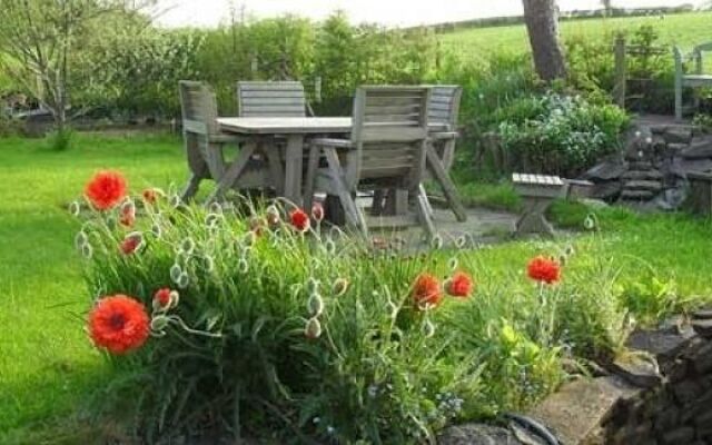 Rhedyn Guest House