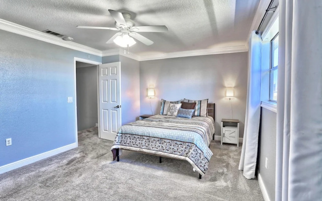 Sea Shell 28