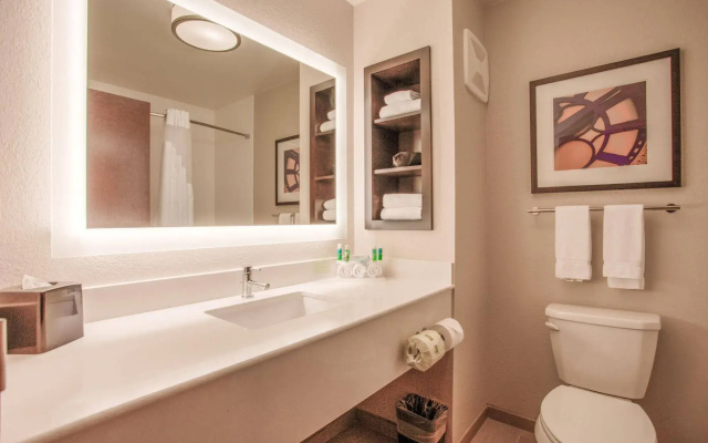 Holiday Inn Express & Suites Lancaster East - Strasburg by IHG