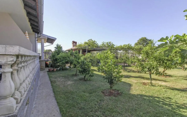 Ane in Pula - Istrien