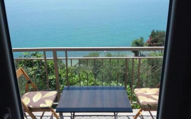 Apartments Baric