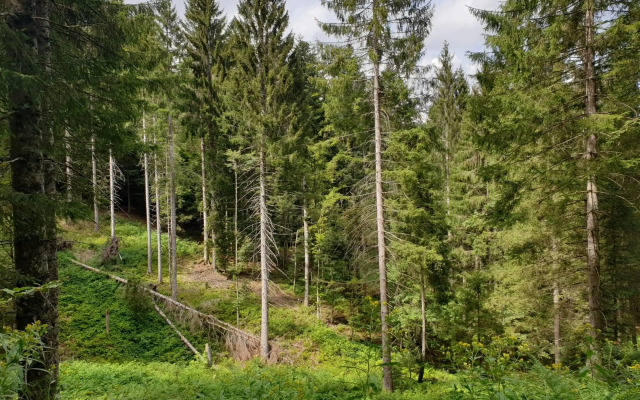 Gemütliche Ferienwohnung EVIELINE