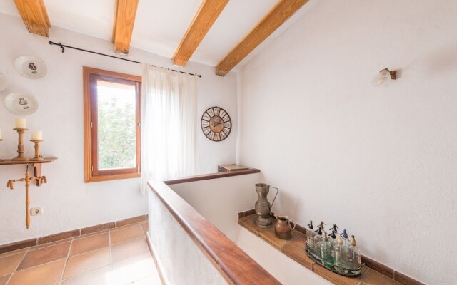Oliveret Des Puig