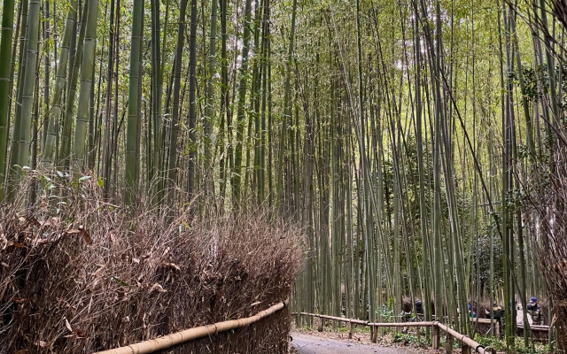 YADO Arashiyama