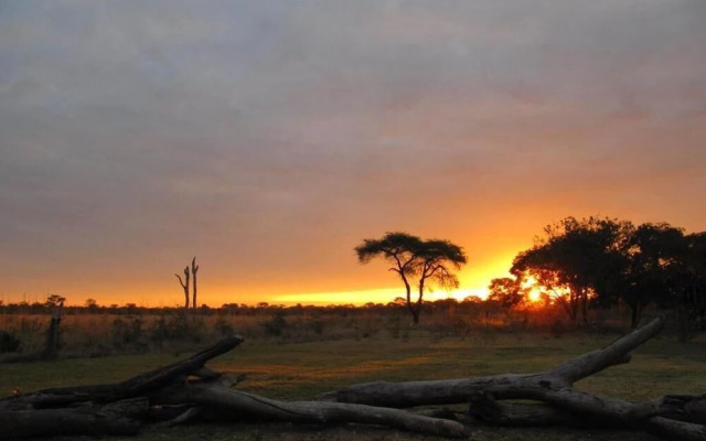 Elephant's Eye, Hwange
