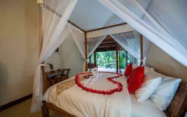 Infinity Jungle View Aashaya Villa Ubud