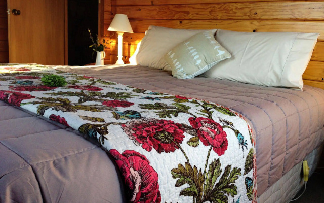 Fox Glacier Lodge