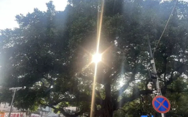 Wangxing Business Inn (Longgang Central Hospital Shuanglong Subway Station) – Outside – Shenzhen