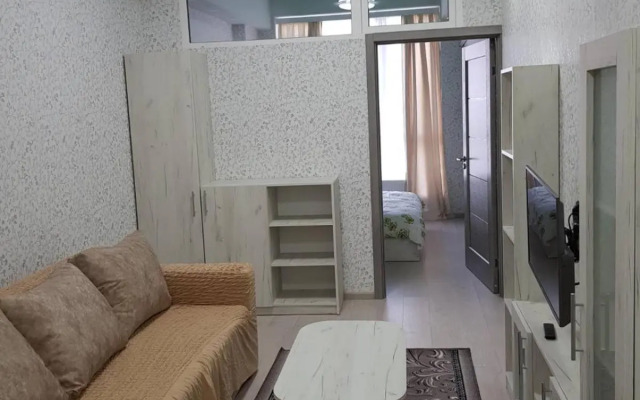 Студия возле Французского бульвара