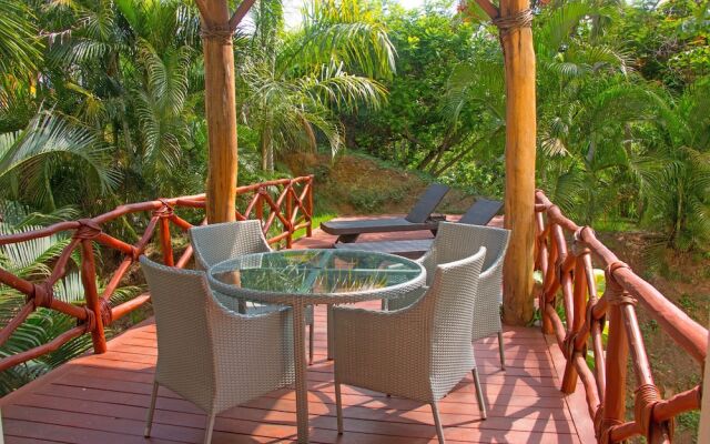 The Phoenix Sayulita