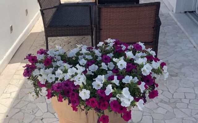 White House Luxury Hospitality