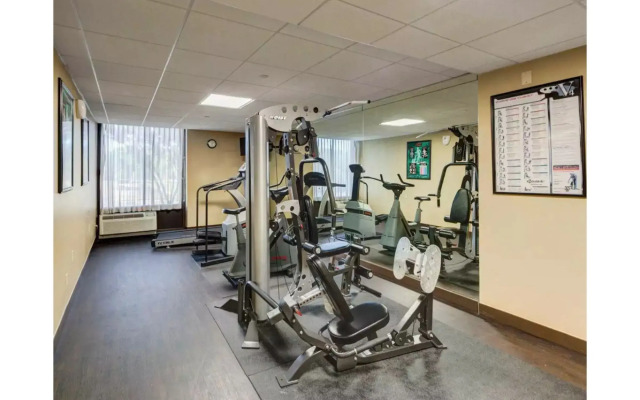 Comfort Inn and Suites Plano East