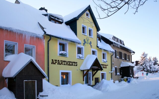 Apartments Stein Boží Dar