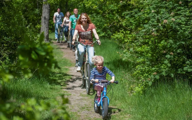 Detached Villa with 4 Bathrooms near Vrachelse Heide