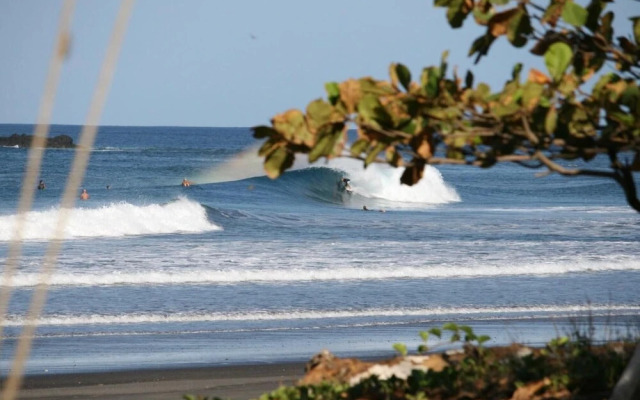 Casa Alice Surf Lodge - Hostel
