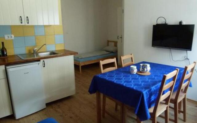 Apartment Soca Tolmin