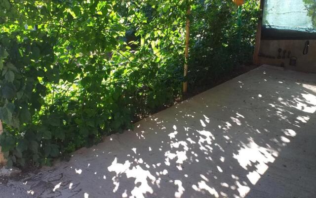 Apartments with a parking space Bibinje, Zadar - 18843