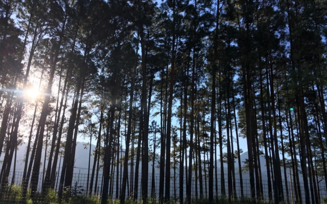 Reserva Ecológica do Sahy, Condado