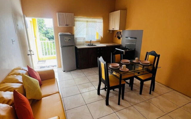 Spring Palm Estate