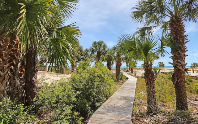 Secluded Palms