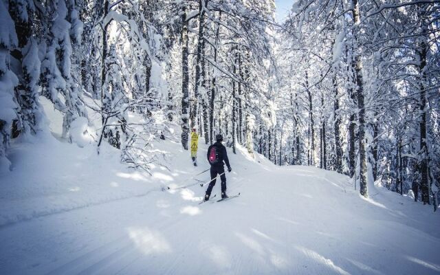 Nature Titisee