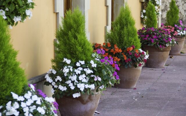 Posada La Rivera De Escalante