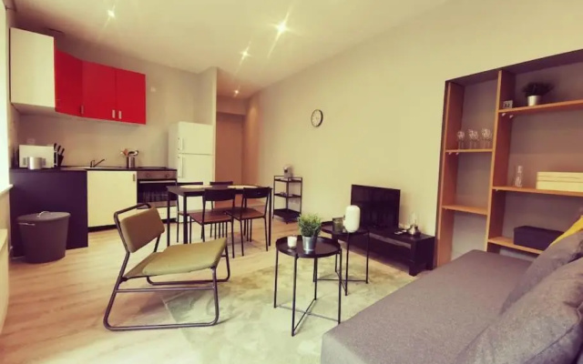 Vienne: appartement au cœur du centre historique