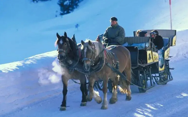 Ferienwohnung Chesa Arula 125