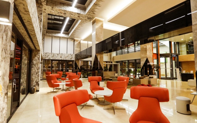 Holiday Inn Kayseri - Duvenonu