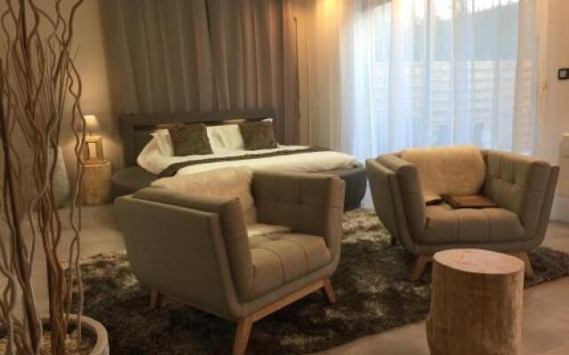 LOFT SPA - Côté château.