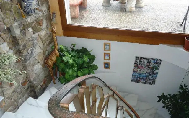 Nendazinsolite