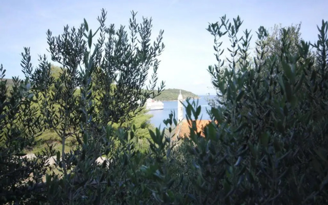 Apartments by the sea Vis - 2470