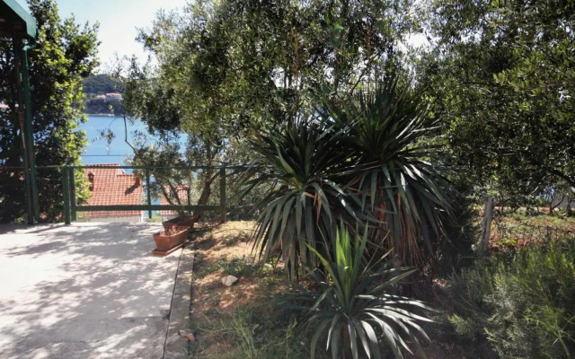 Apartments by the sea Supetarska Draga - Gornja, Rab - 5055