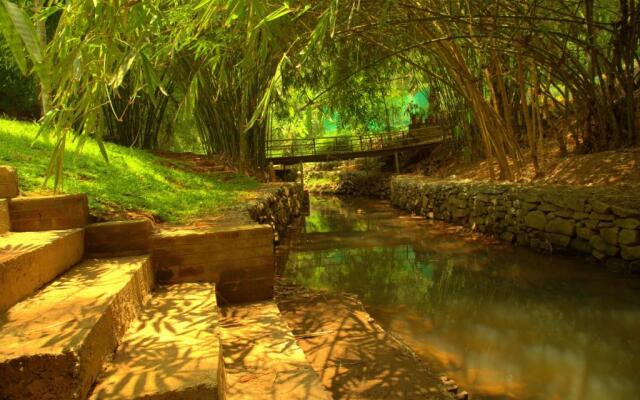 Bamboo Creek Resort