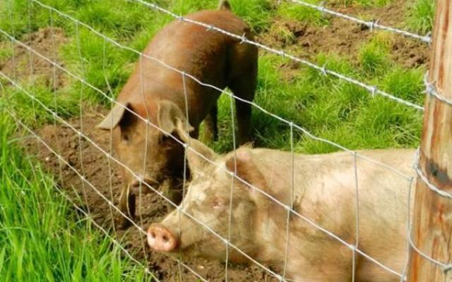 The Old Rectory, Kettlebaston