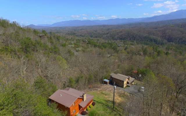 Grandpa Bear's View #233