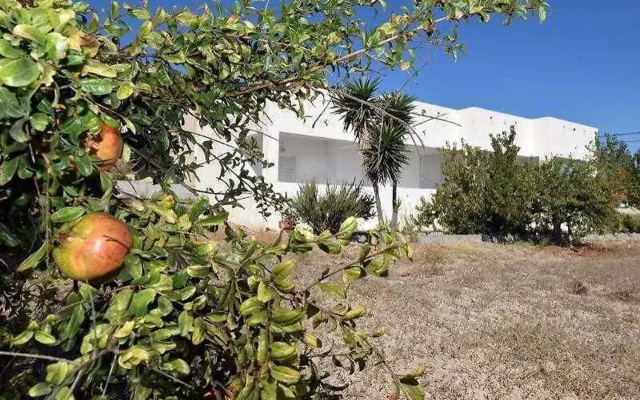 Prika Studios