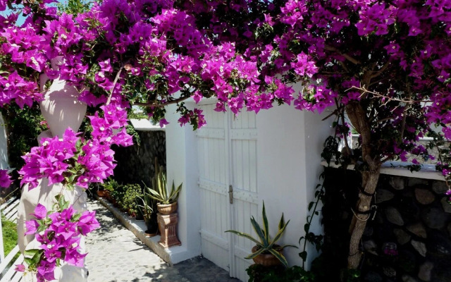 Bougainvillea Suites