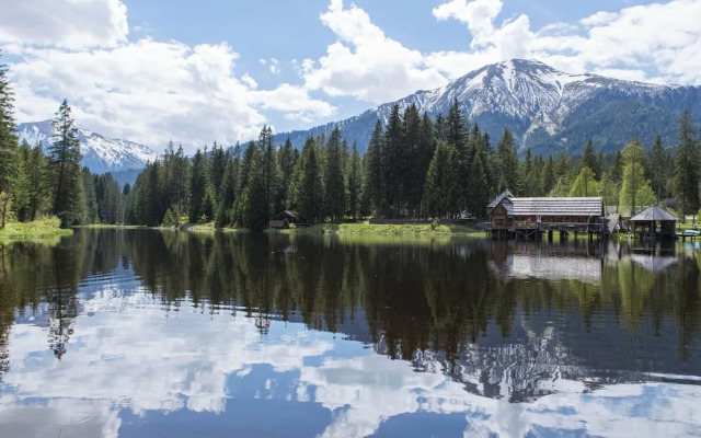 Premium Chalet With Terrace