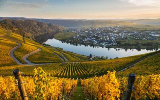 Gasthaus Moselloreley