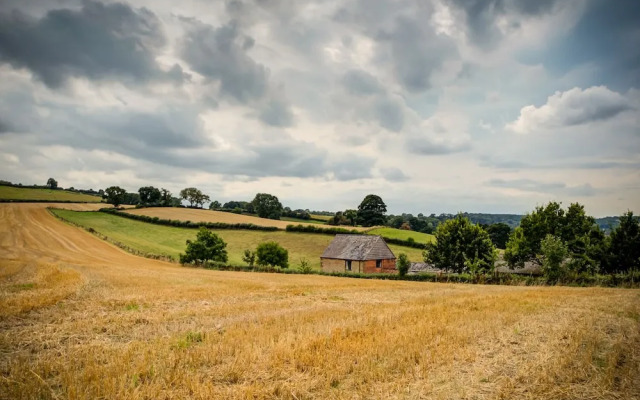 Little Barn