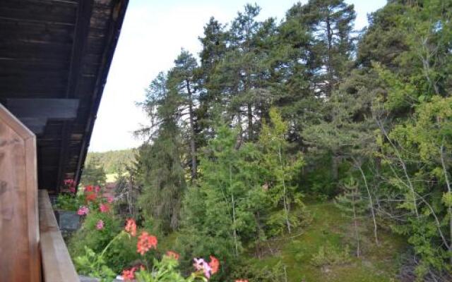Gasthof Zum Grunen Baum