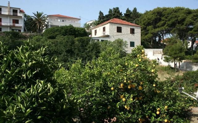 Apartments and rooms by the sea Jelsa, Hvar - 4602