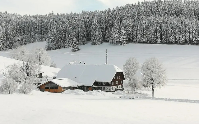 Gasthaus Pension Donishäusle