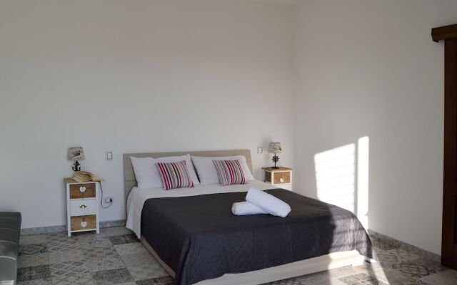 3807 VM - Mono Terra by Barbarhouse