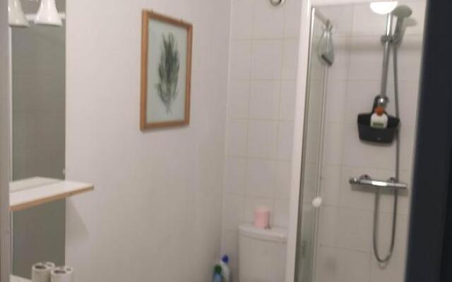 APPARTEMENT NANCY THERMAL/ARTEM/PARC STE MARIE Le 61 LES THERMES